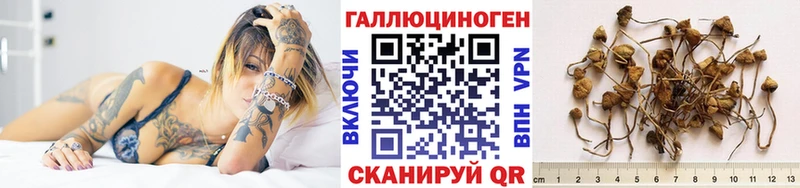 цены   hydra онион  Псилоцибиновые грибы Psilocybine cubensis  Кирс 